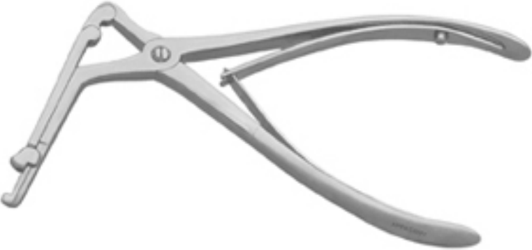 Citeli Bone Nibbling Ronguer